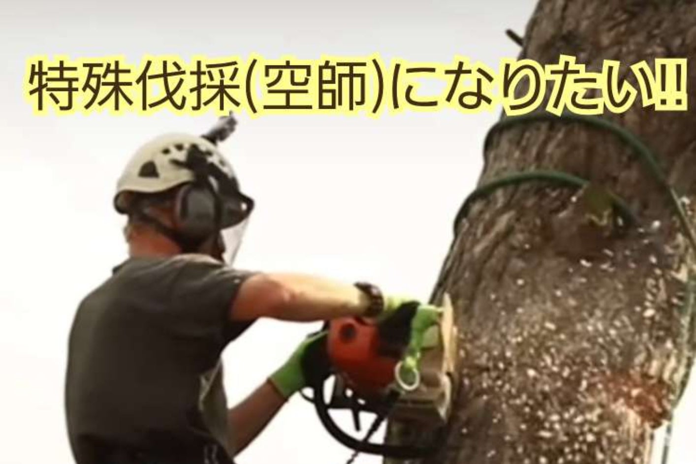 特殊伐採の職人(空師)になりたい!! - CAMPFIRE (キャンプファイヤー)
