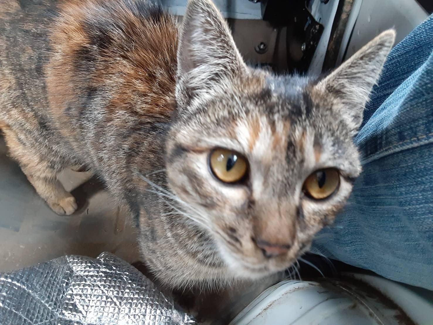 3番目のメイン画像