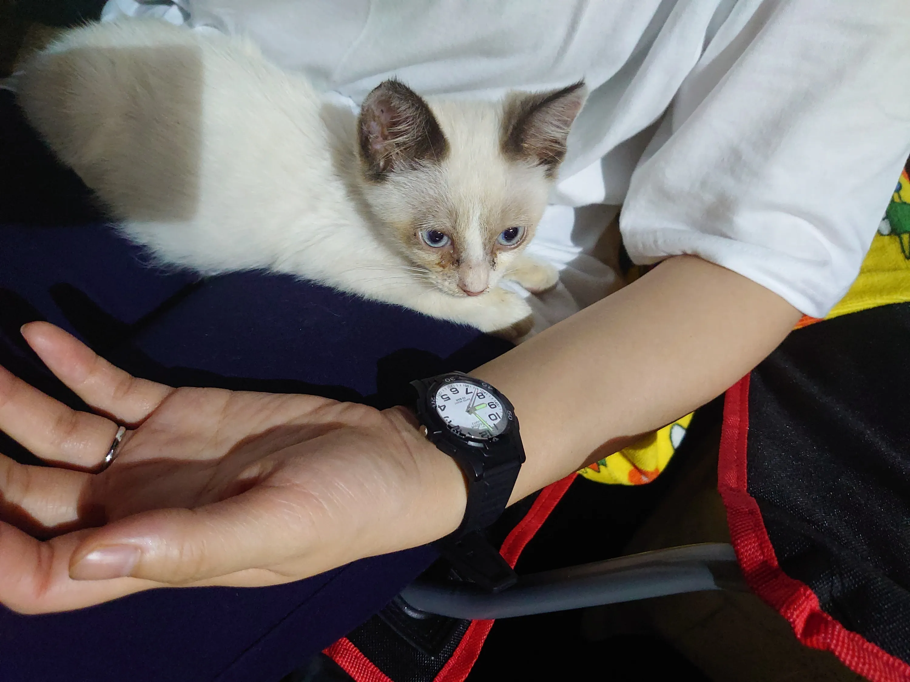 2番目のメイン画像