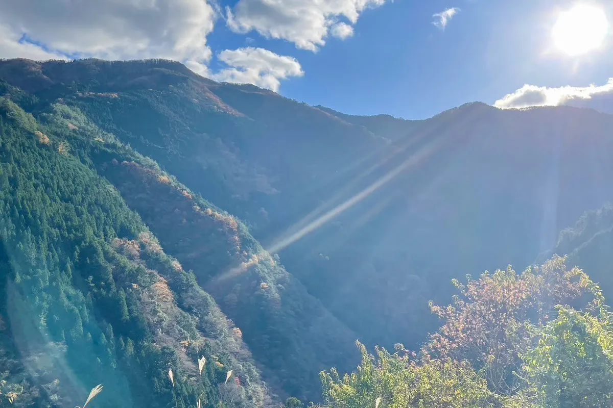 5番目のメイン画像