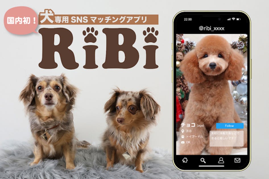 ワンちゃんと飼い主さまのための「国内初」犬専用SNSマッチングアプリ『RiBi』