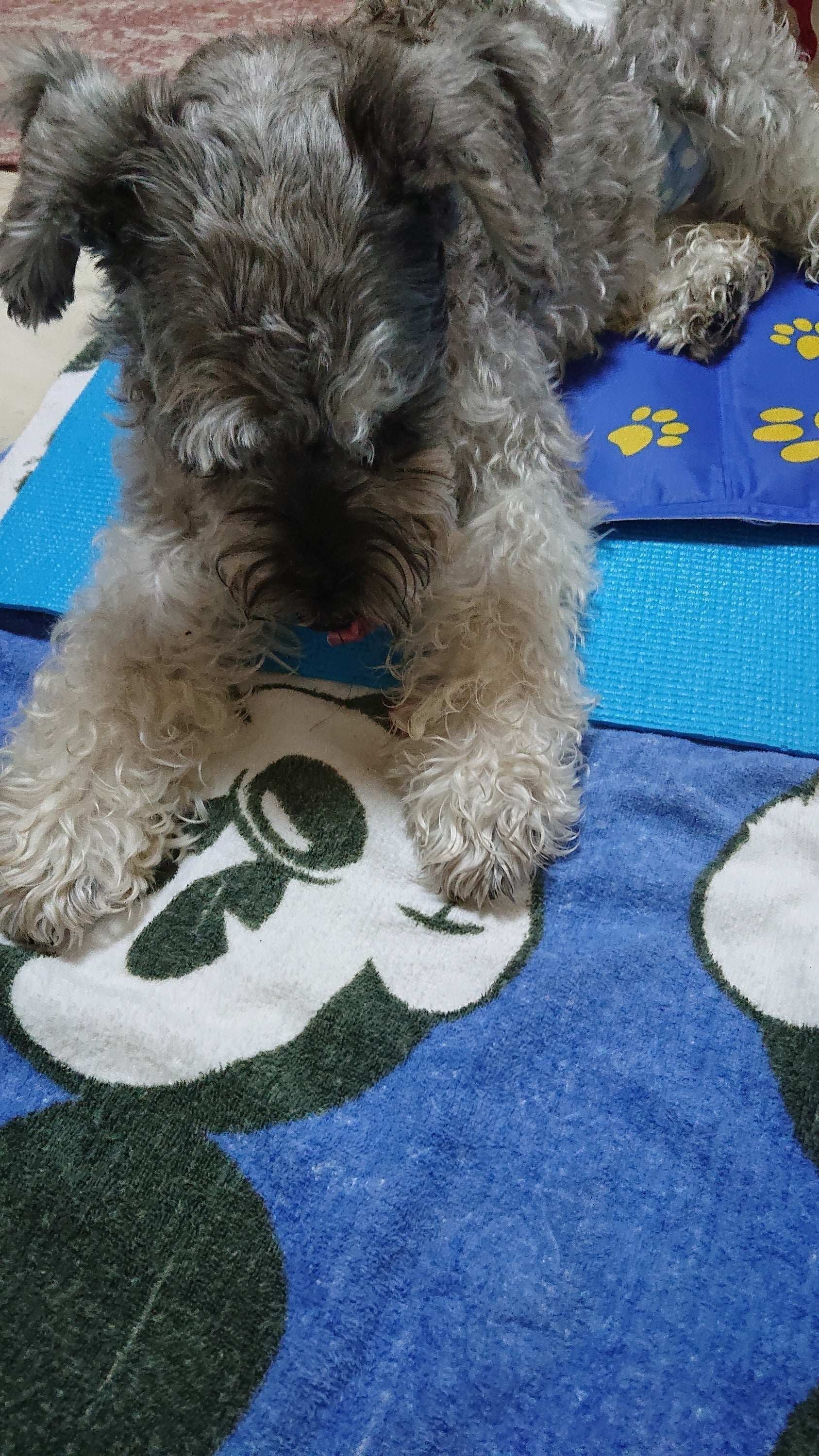 4番目のメイン画像