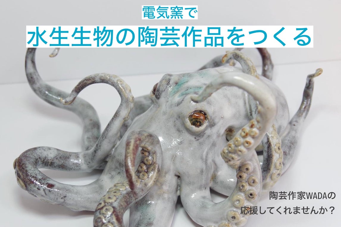 水生生物の陶芸作品を世界に - CAMPFIRE (キャンプファイヤー)
