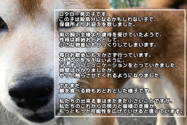 1番目のメイン画像