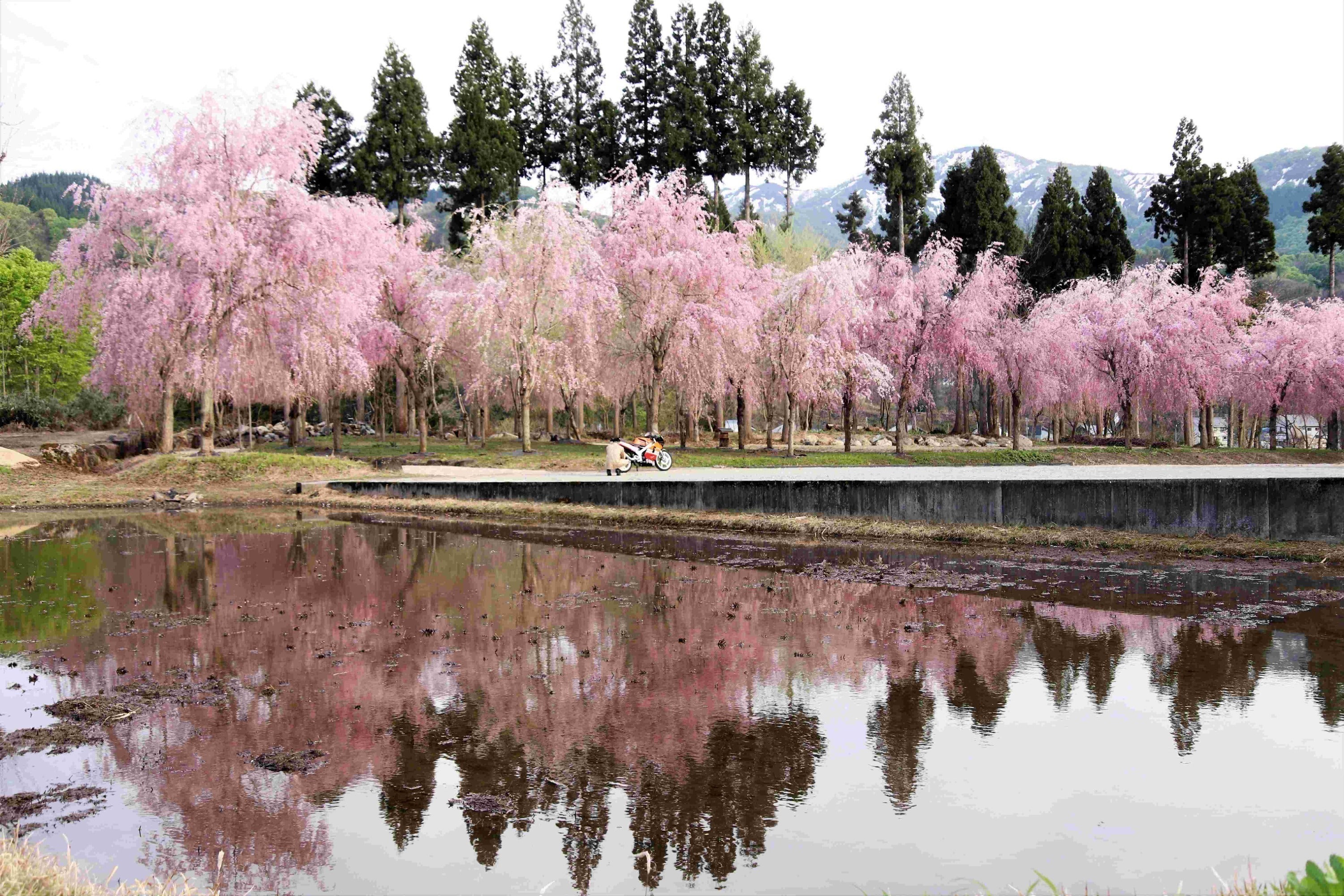 5番目のメイン画像