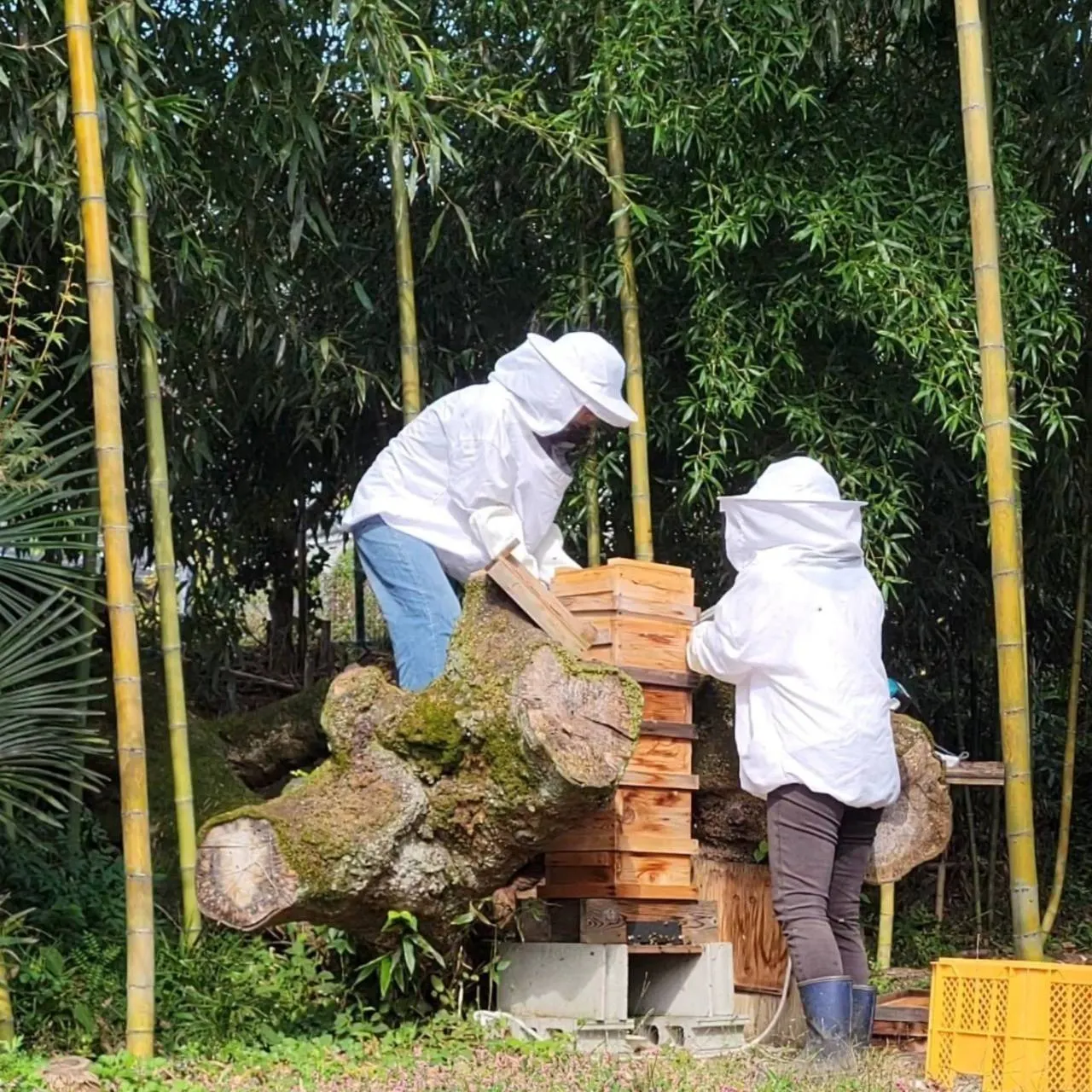 3番目のメイン画像