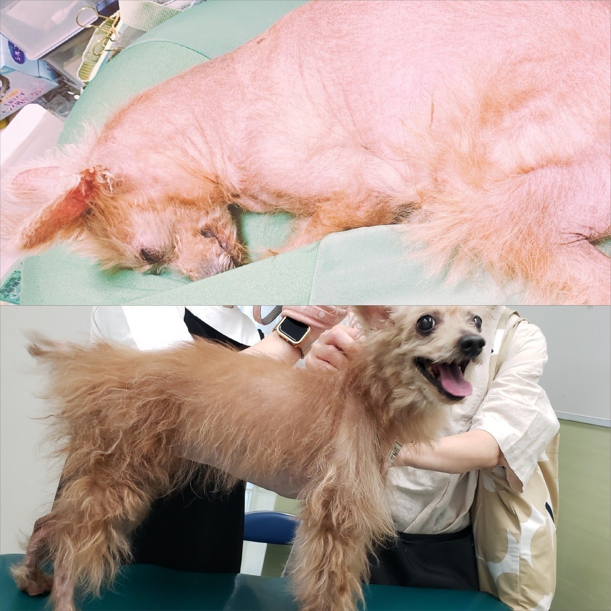 3番目のメイン画像