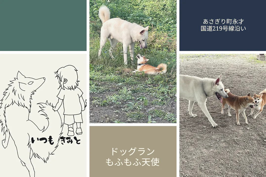 1番目のメイン画像