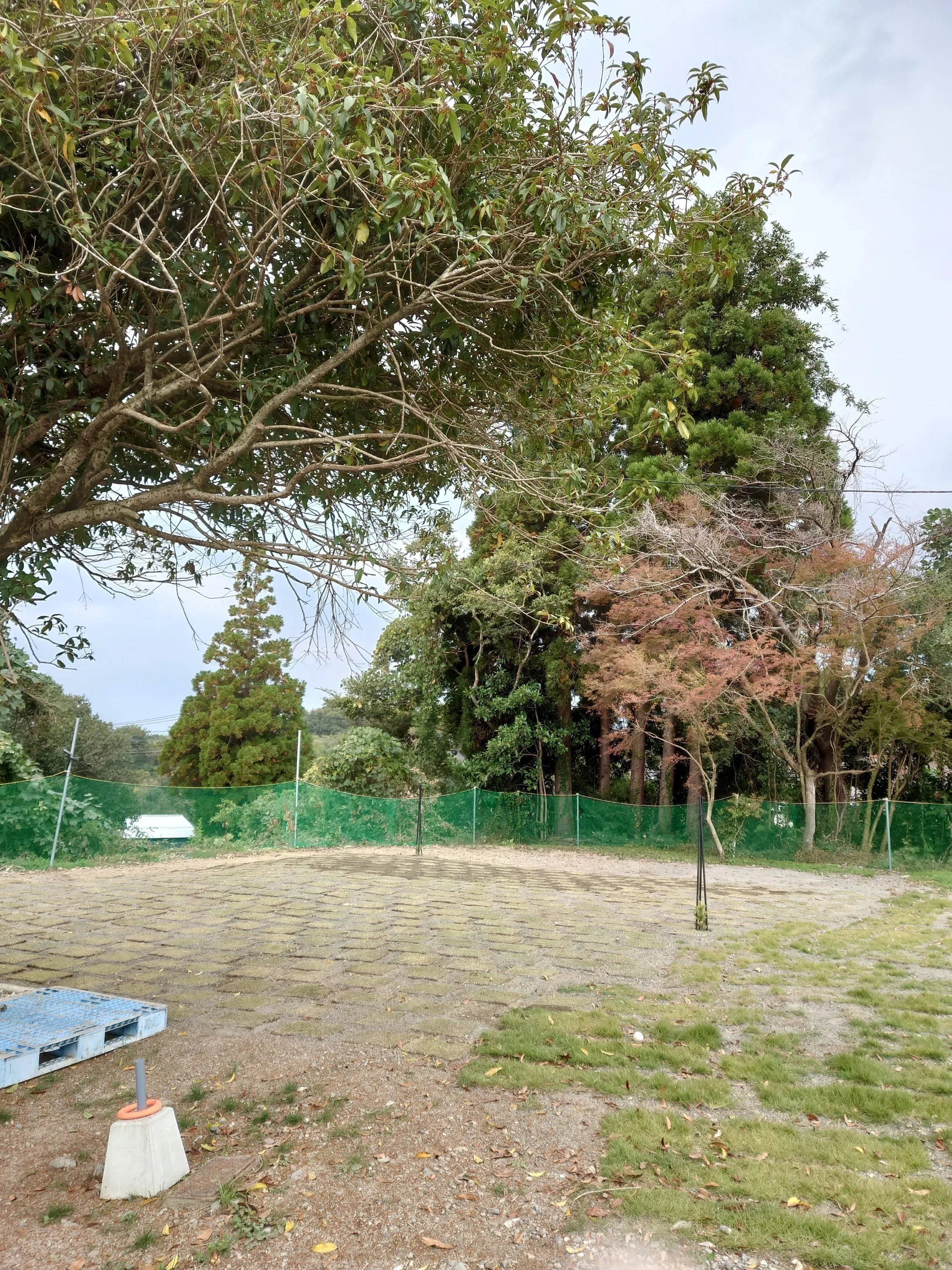 5番目のメイン画像