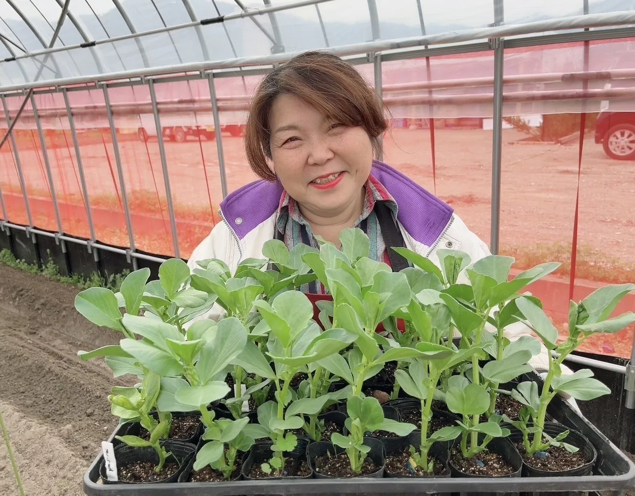 4番目のメイン画像