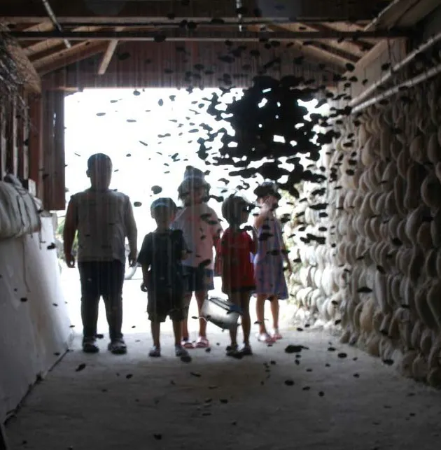 4番目のメイン画像