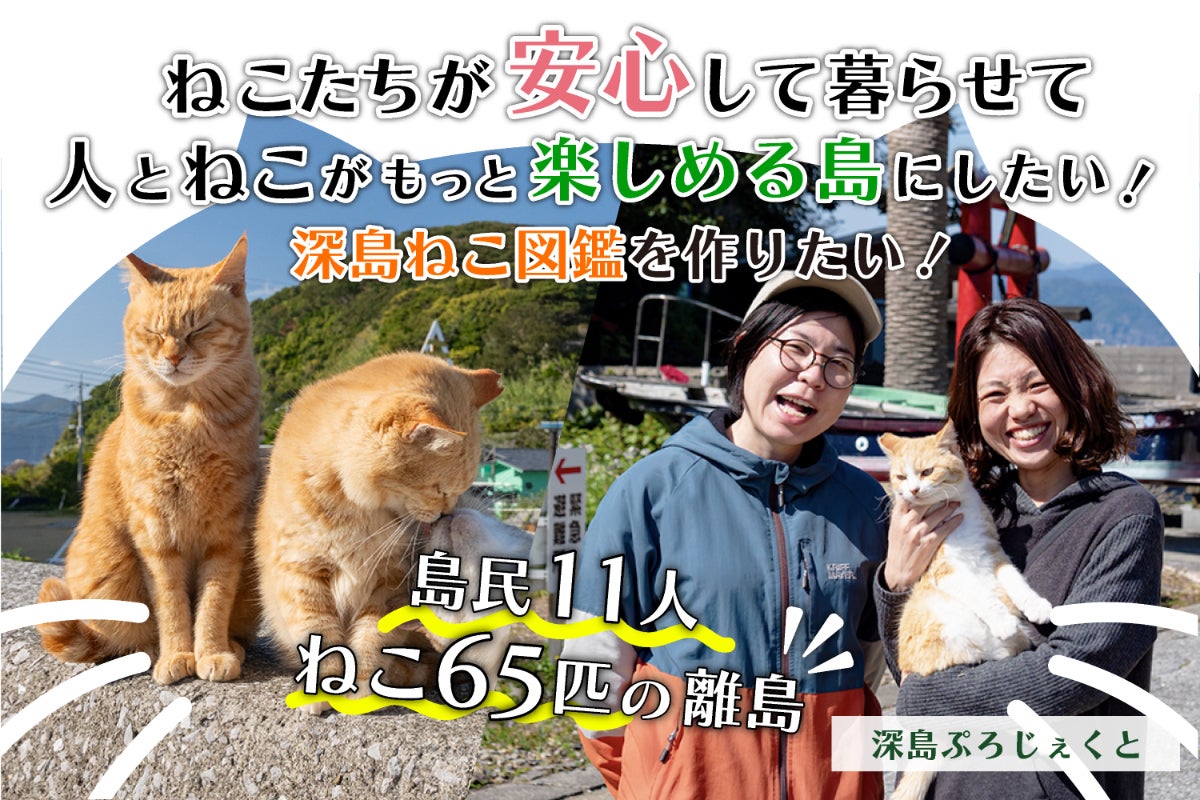 ここから検索　嬉しい楽しい大好きが一杯ΦωΦ　猫　#みんな集まれネコの森　日本 高森チームのやま、ふき、女神シリーズのニケの譲渡が決まりました