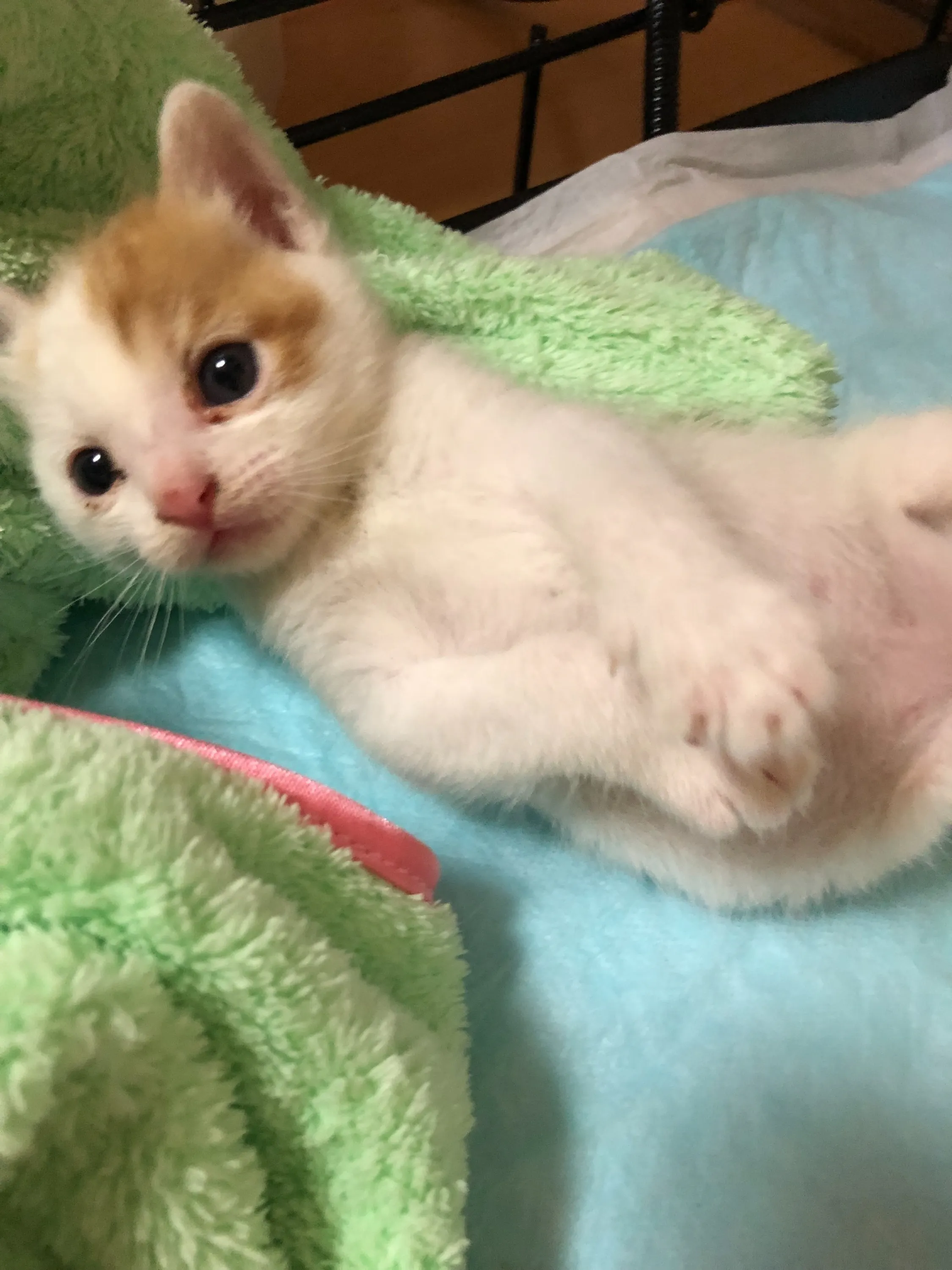 3番目のメイン画像