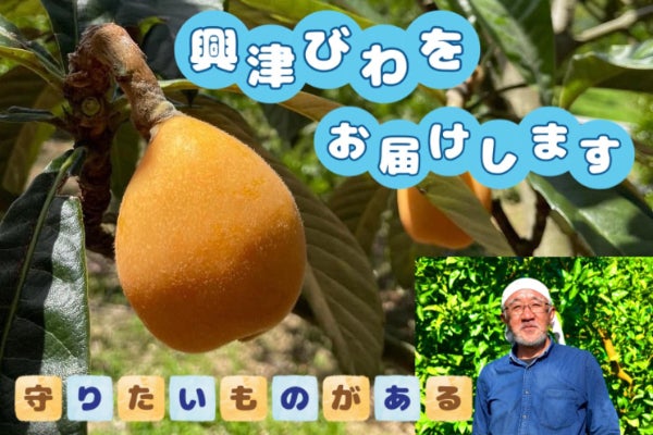希少な『興津びわ』を多くの方にお届けしたい！2nd - CAMPFIRE
