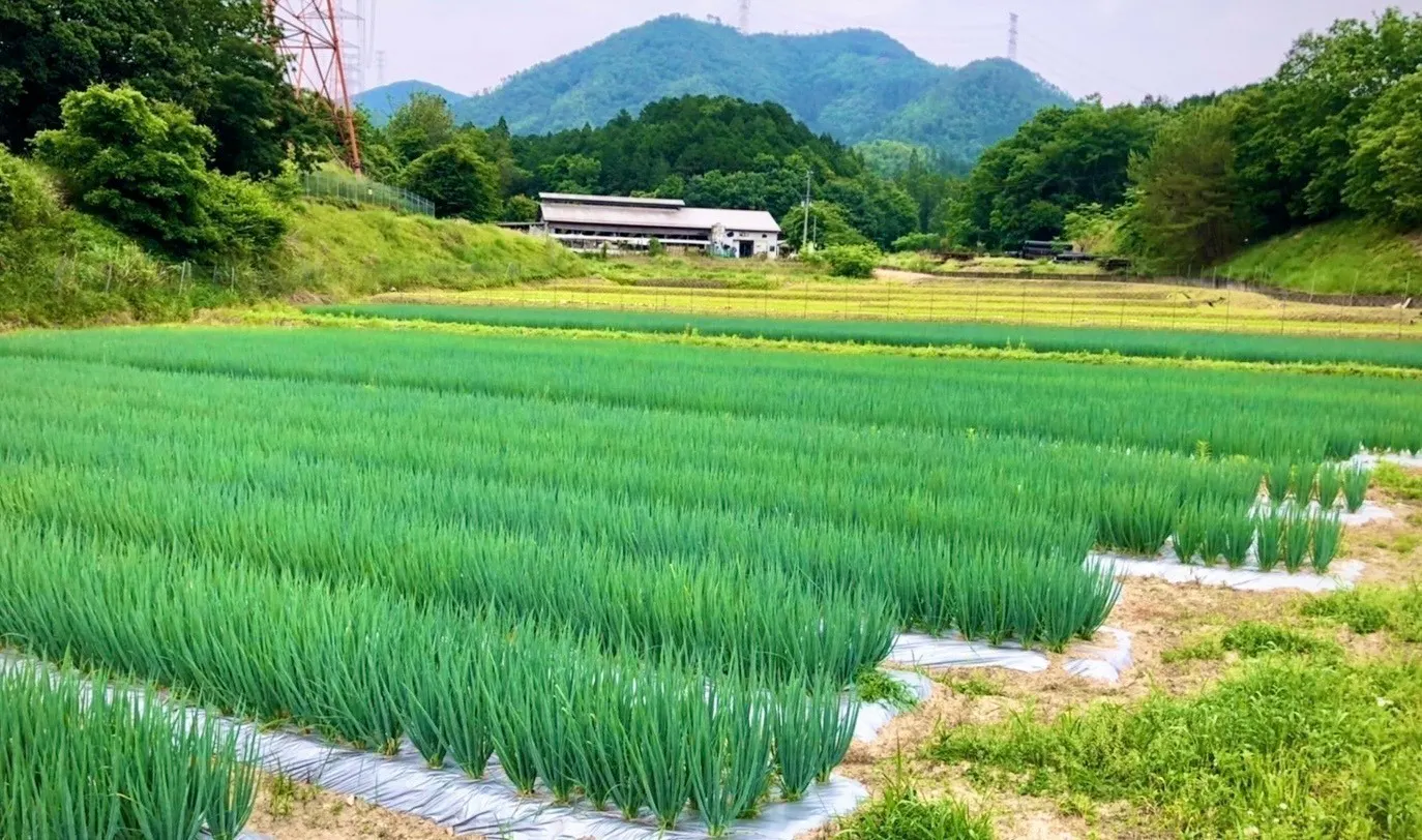 4番目のメイン画像