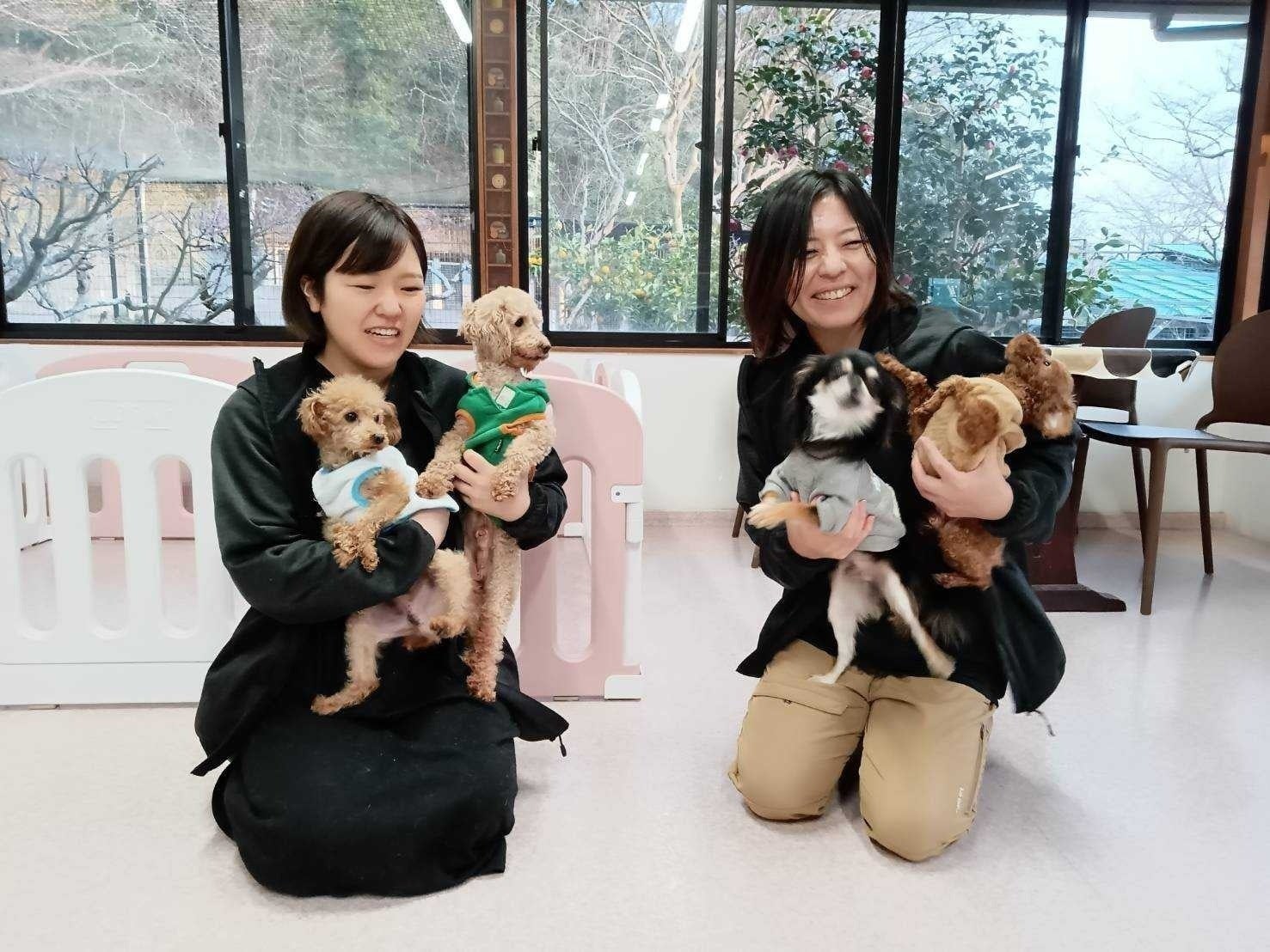 5番目のメイン画像