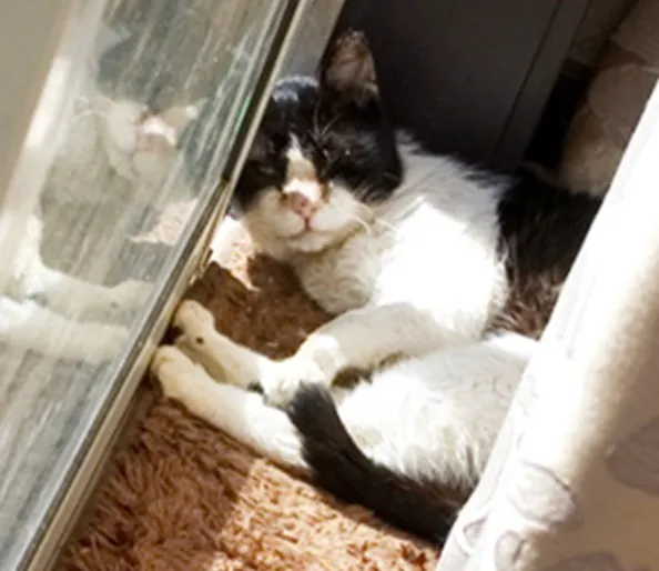 5番目のメイン画像