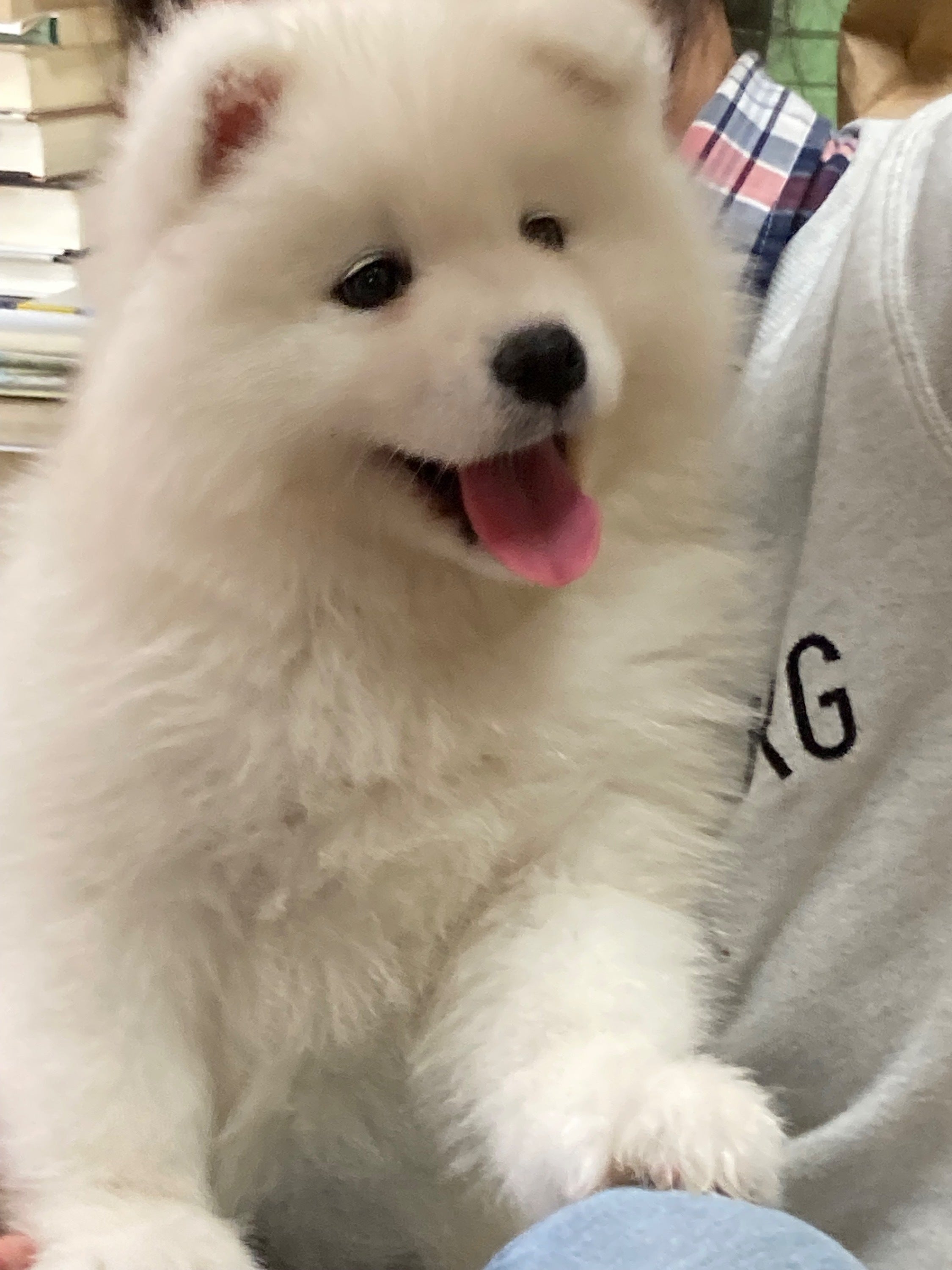 4番目のメイン画像