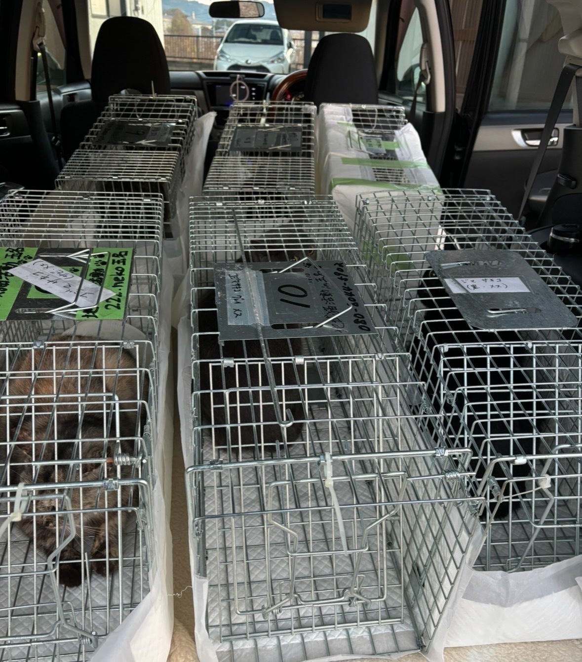 3番目のメイン画像