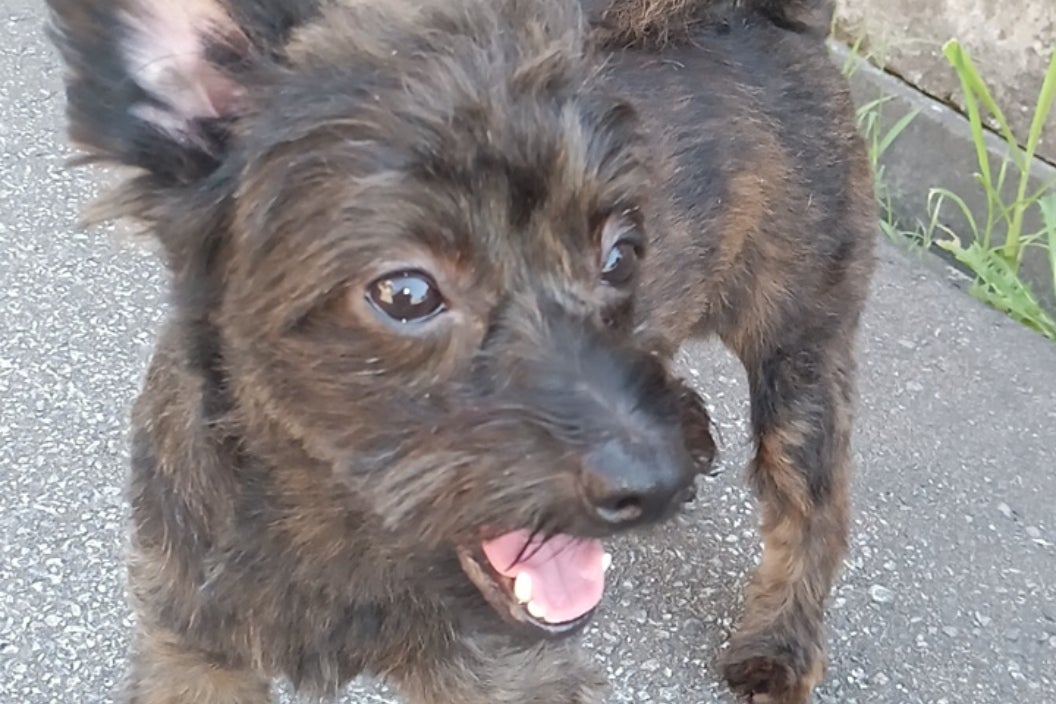 1番目のメイン画像