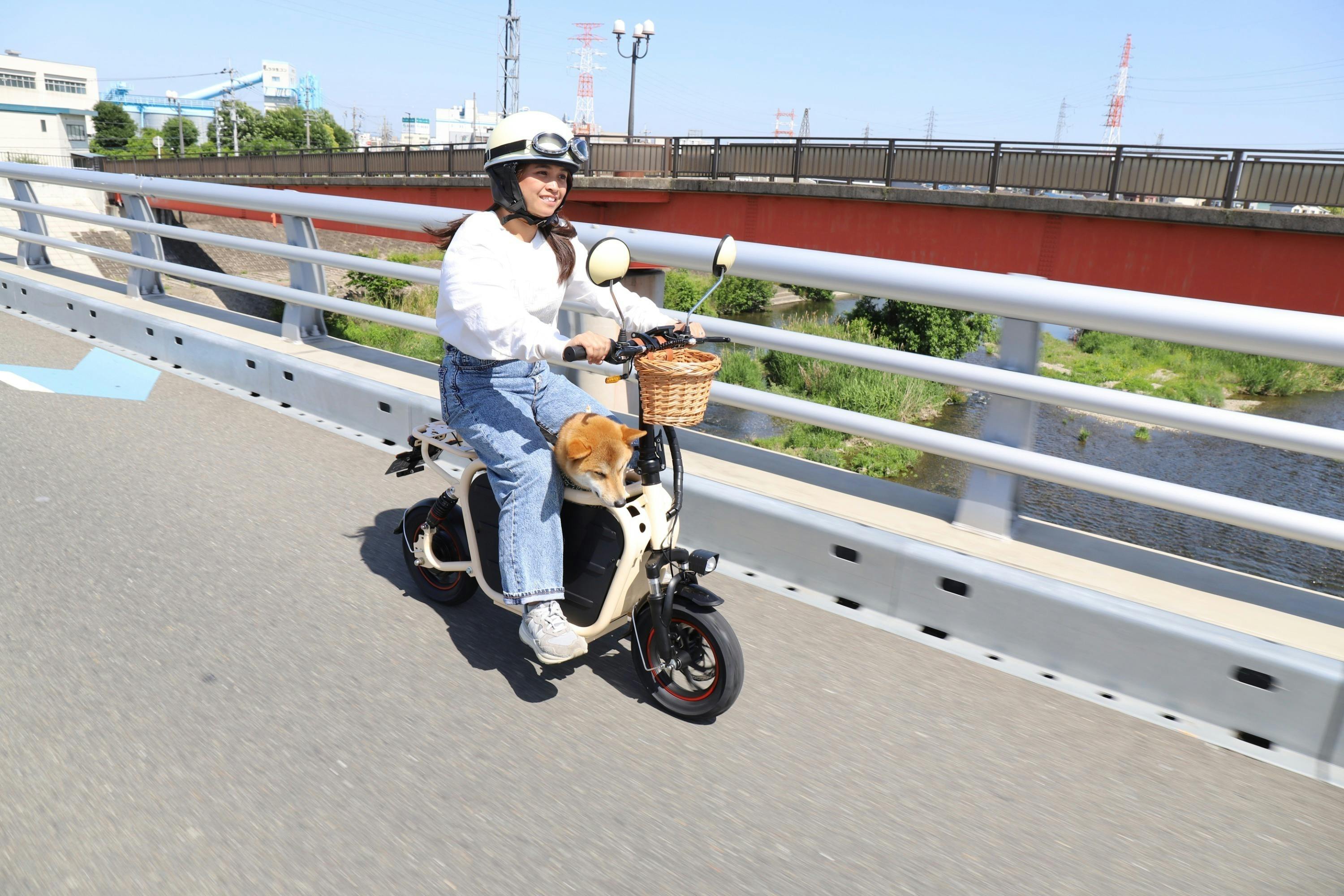 ペットと乗れるバイク 「 E-Carry Bike Doggie 」ドギー 原付 ペットと乗れるバイク 「 E-Carry Bike Doggie 」ドギー 原付