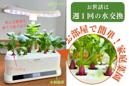 特別セール】お部屋で家庭栽培！LED水耕栽培セット 肥料付き特別セット