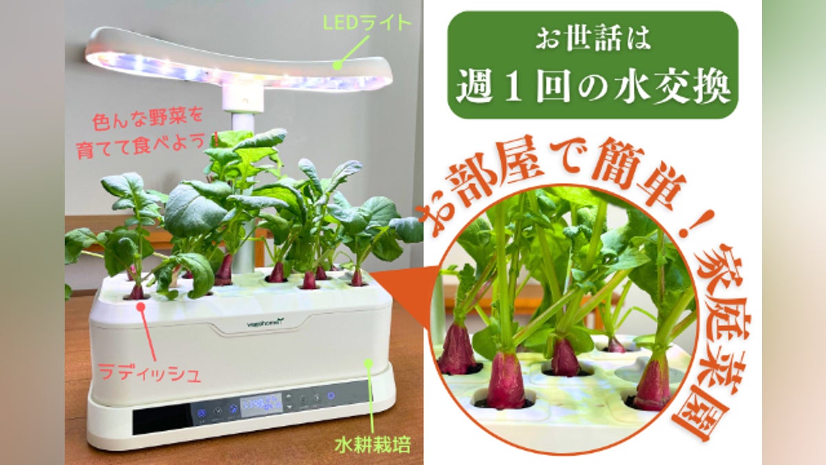 特別セール】お部屋で家庭栽培!LED水耕栽培セット 肥料付き特別セット 特別セール】お部屋で家庭栽培!LED水耕栽培セット 肥料付き特別セット