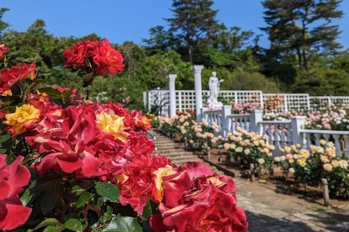 4番目のメイン画像