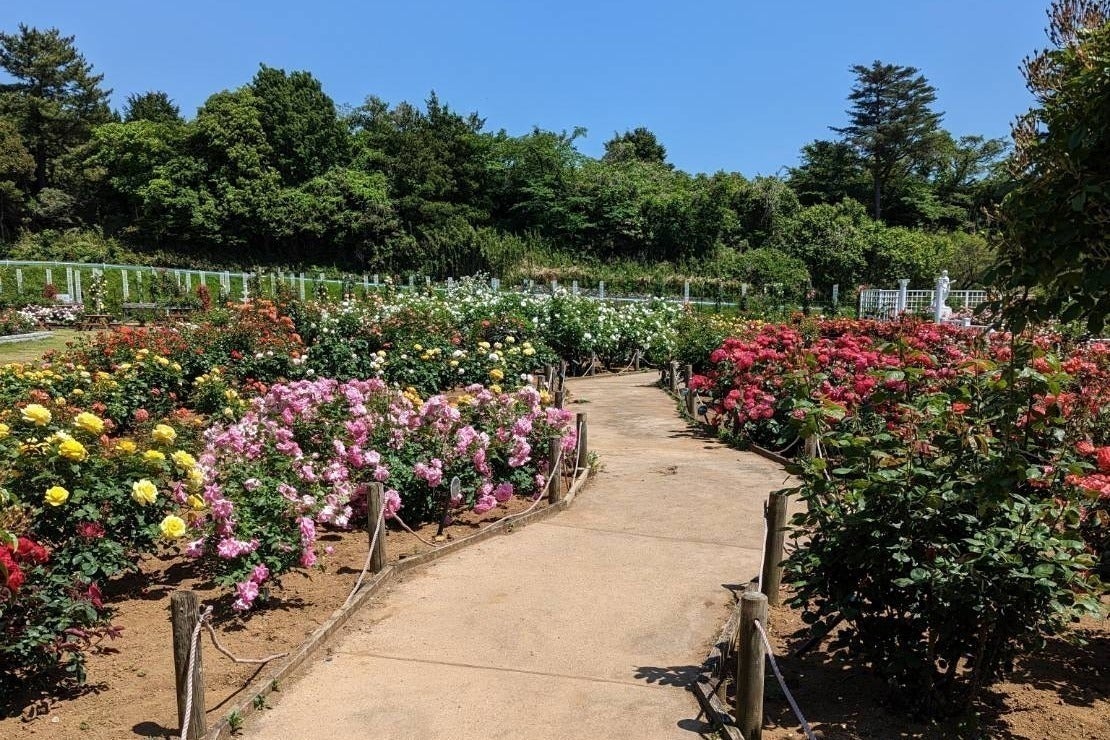 3番目のメイン画像