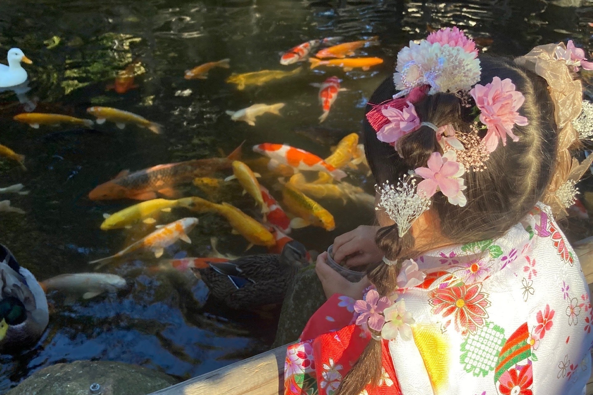 2番目のメイン画像