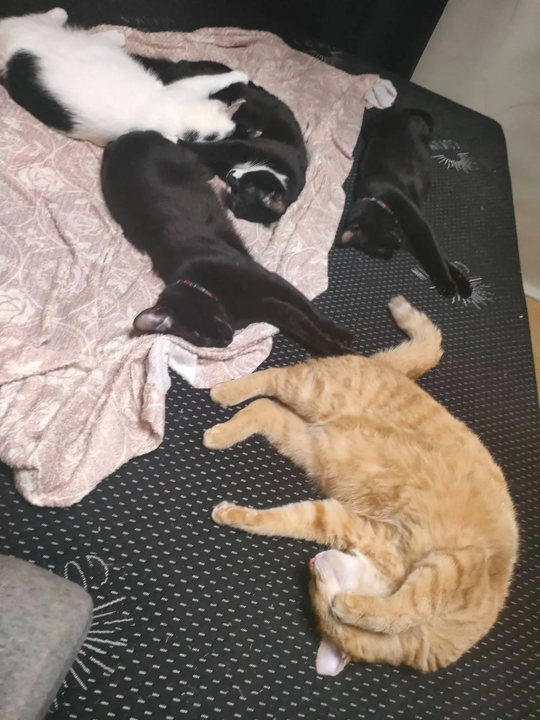 4番目のメイン画像