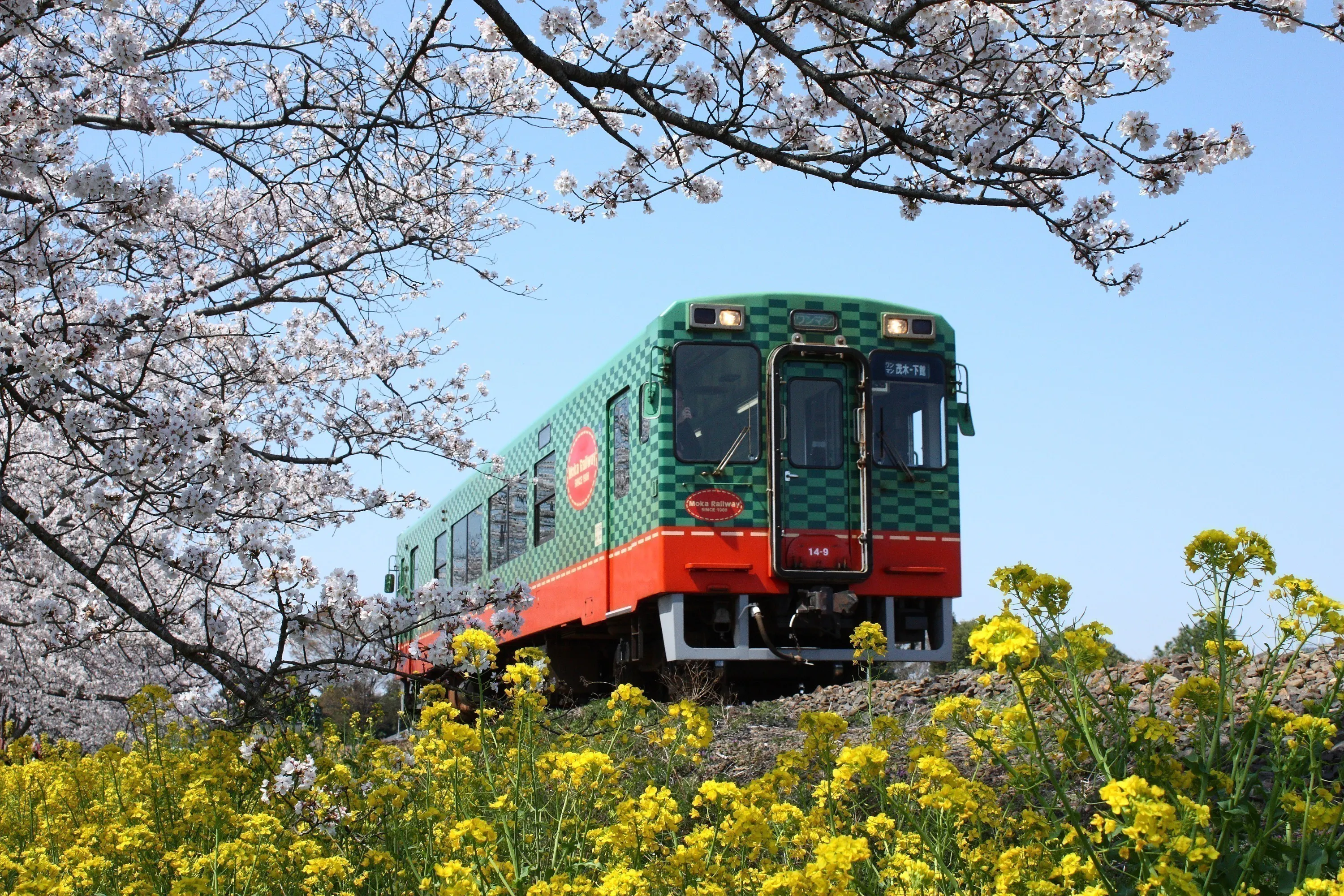 4番目のメイン画像