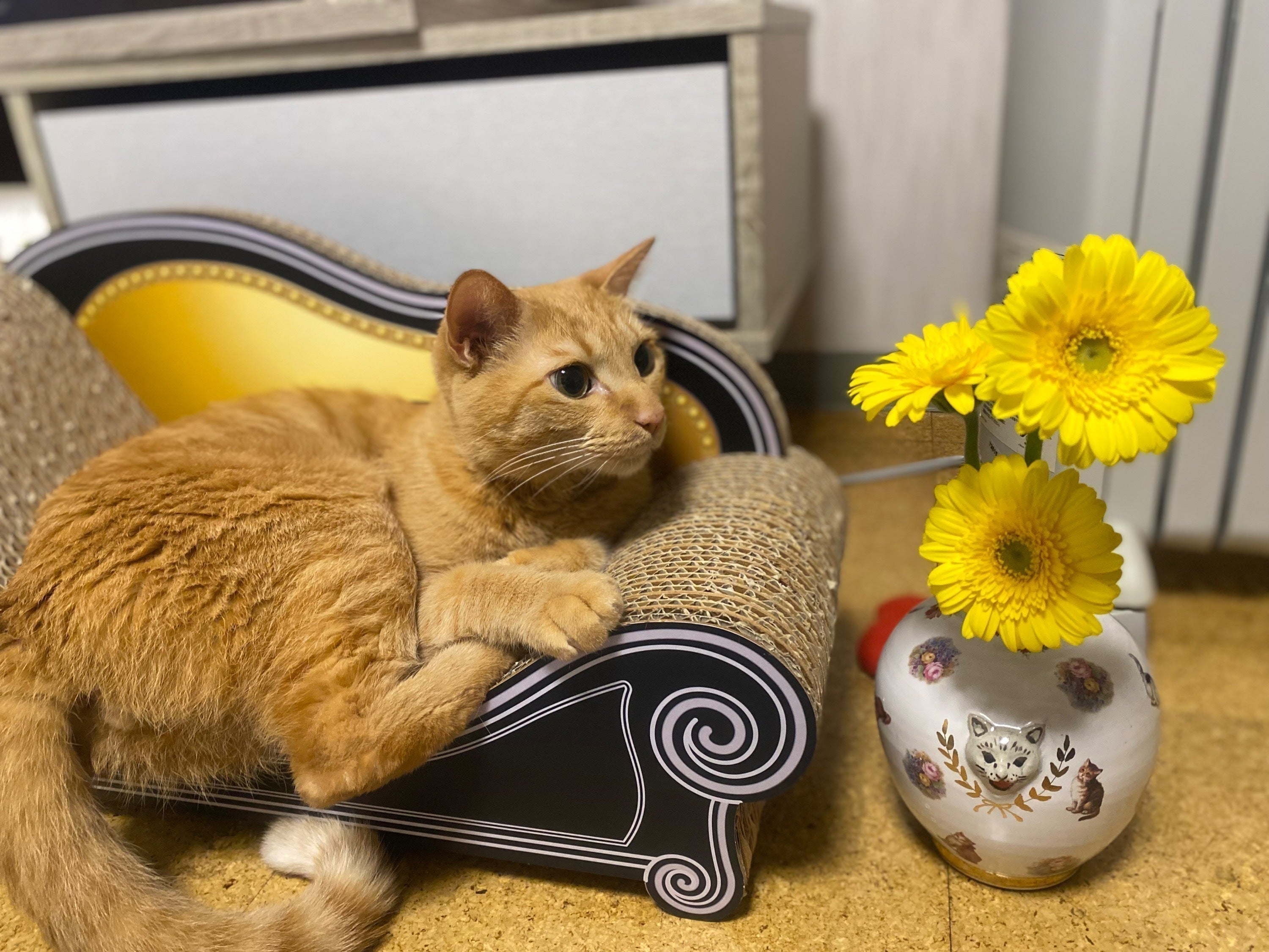 4番目のメイン画像