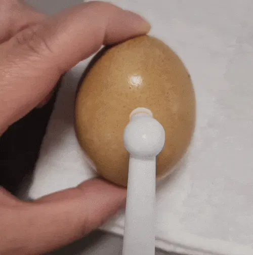 5番目のメイン画像