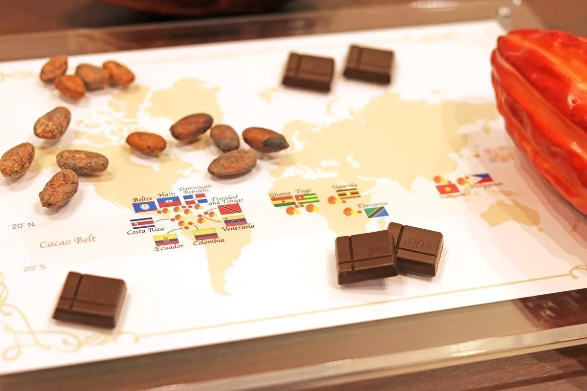 5番目のメイン画像