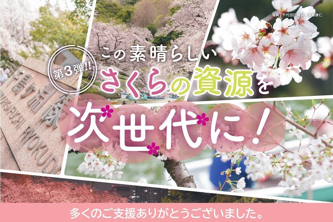 第3弾 この素晴らしいさくらの資源を次世代に！桜の名所千代田のさくらに力を！ - CAMPFIRE (キャンプファイヤー)