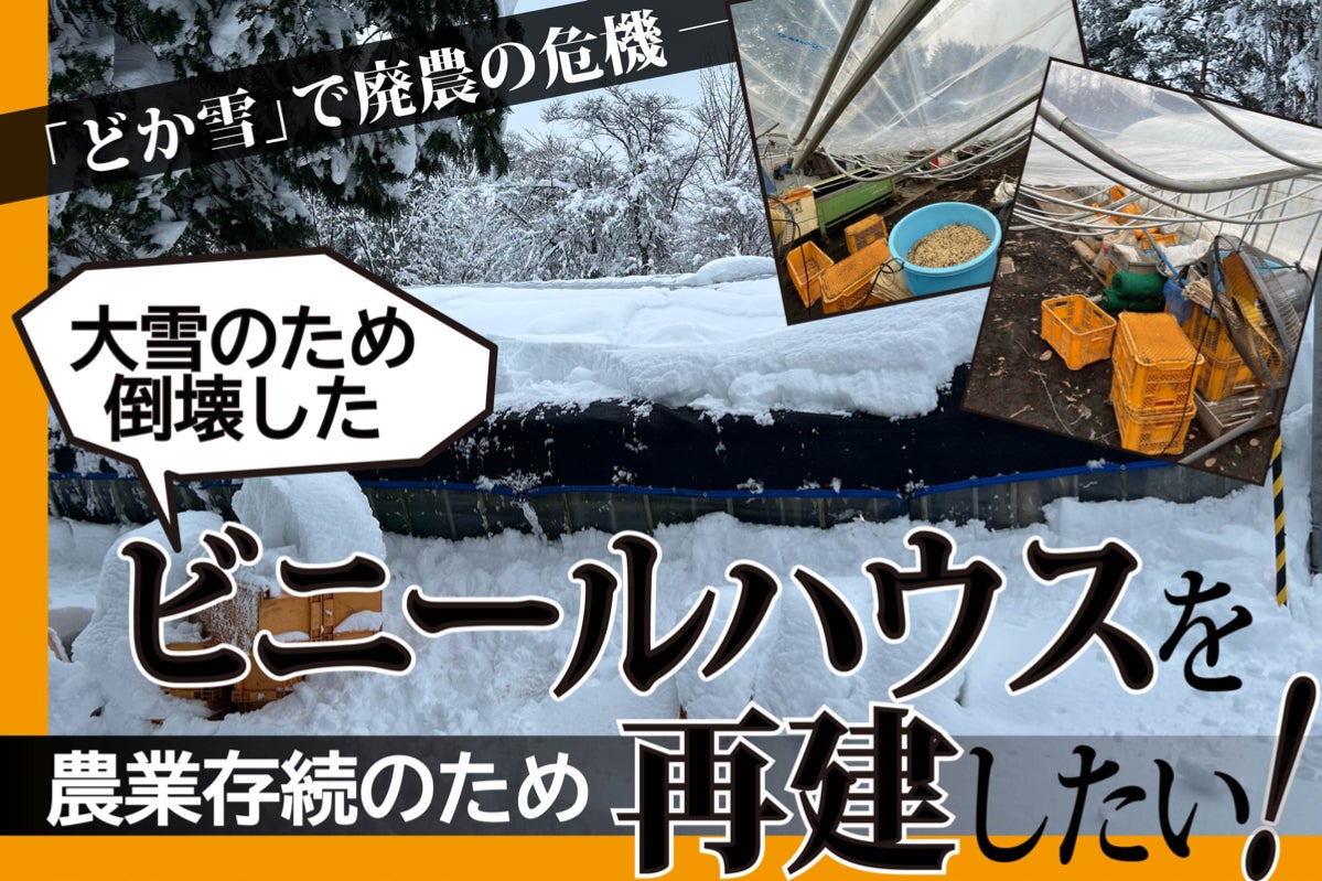 大雪で倒壊したビニールハウスを再建し、有機農業を続けたい 