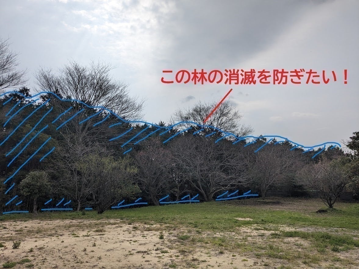 2番目のメイン画像