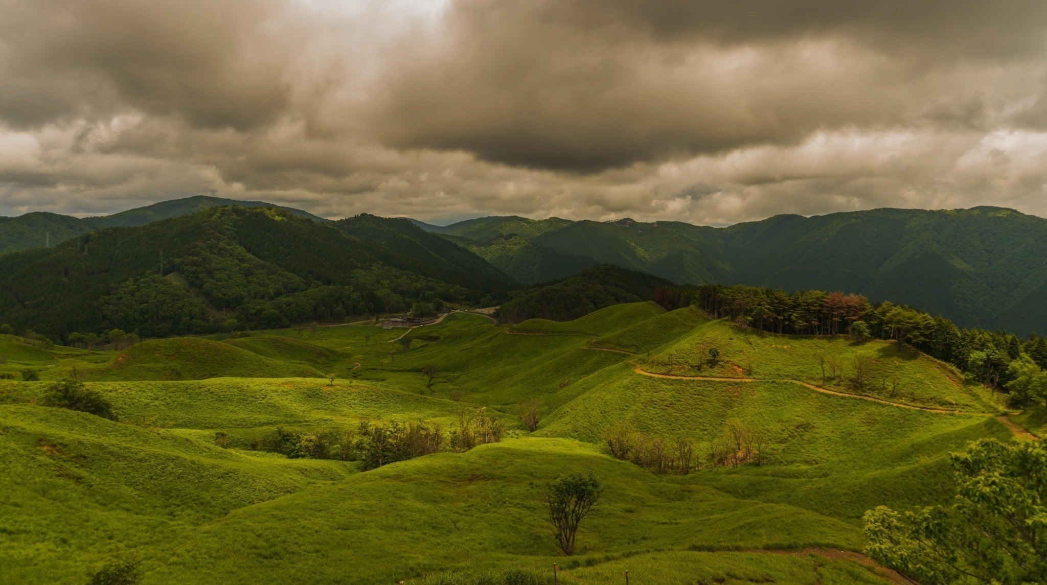 3番目のメイン画像