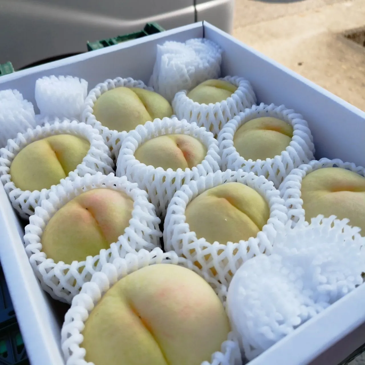 4番目のメイン画像