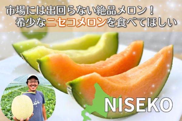 北海道】市場には出回らない絶品メロン！希少なニセコメロンを食べて