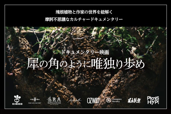 邦画・日本映画 Statue in Fire DVD Amazon.co.jp: NIKKATSU COLLECTION 炎の肖像 [DVD] : 沢田研二, 秋吉