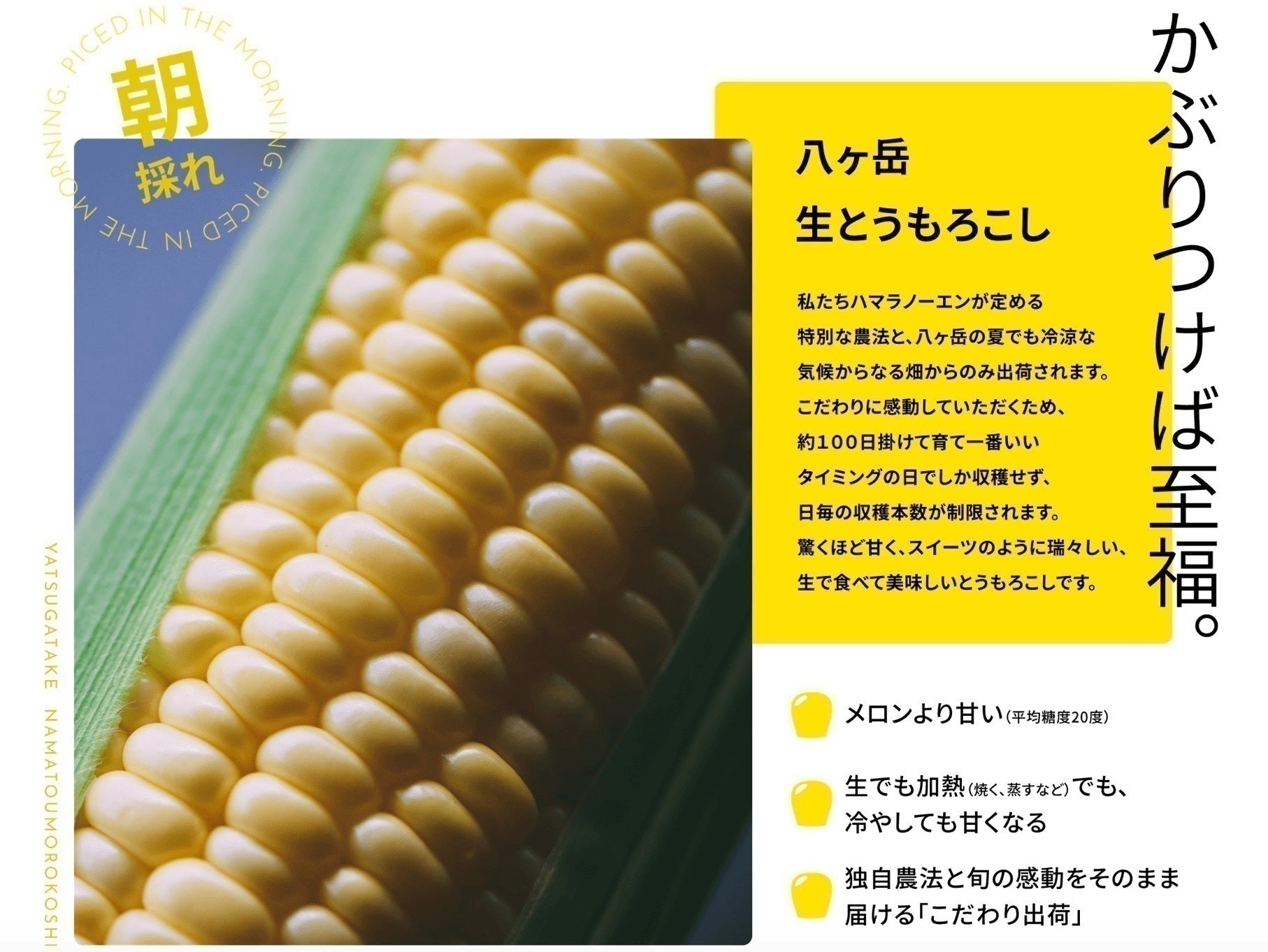 2番目のメイン画像