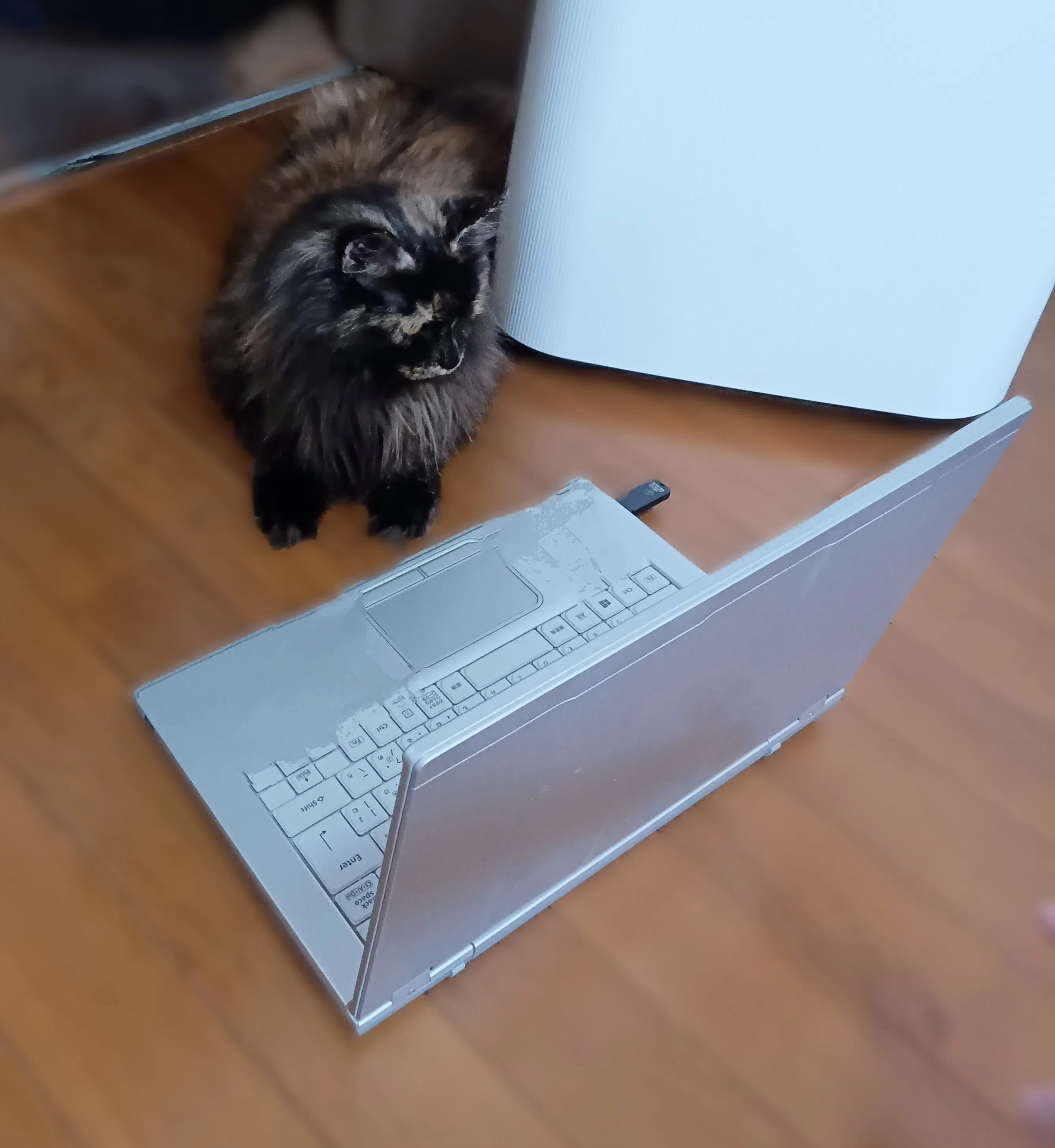 5番目のメイン画像