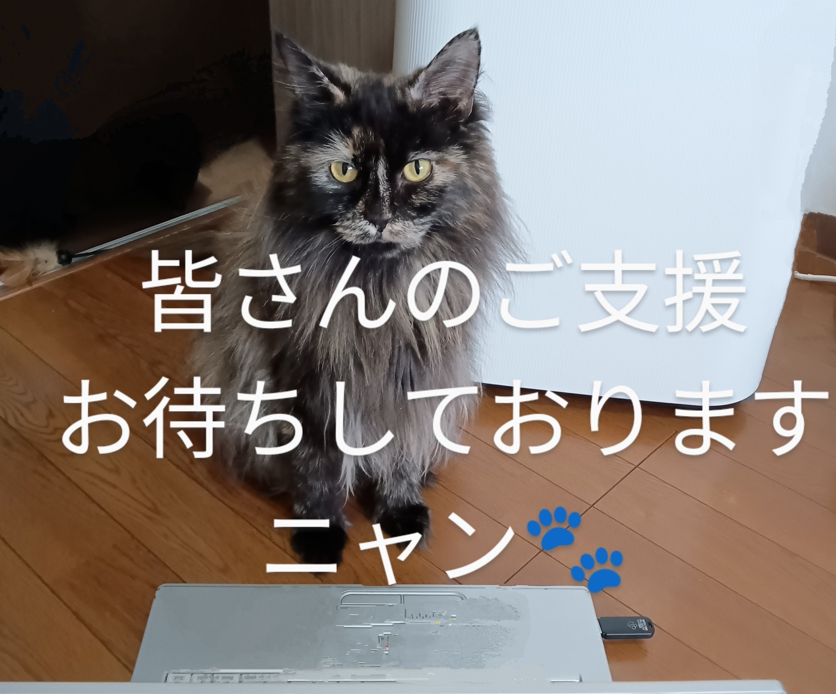 4番目のメイン画像