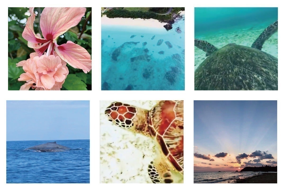 4番目のメイン画像