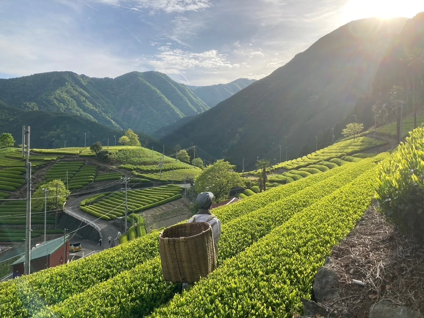 3番目のメイン画像