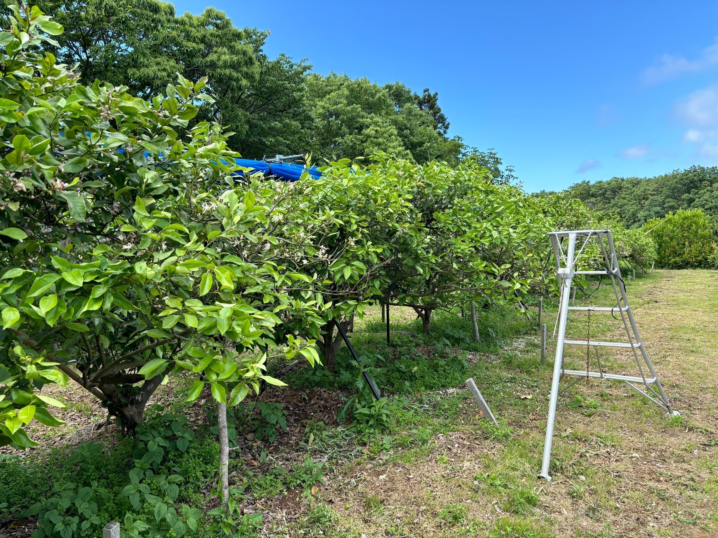 4番目のメイン画像