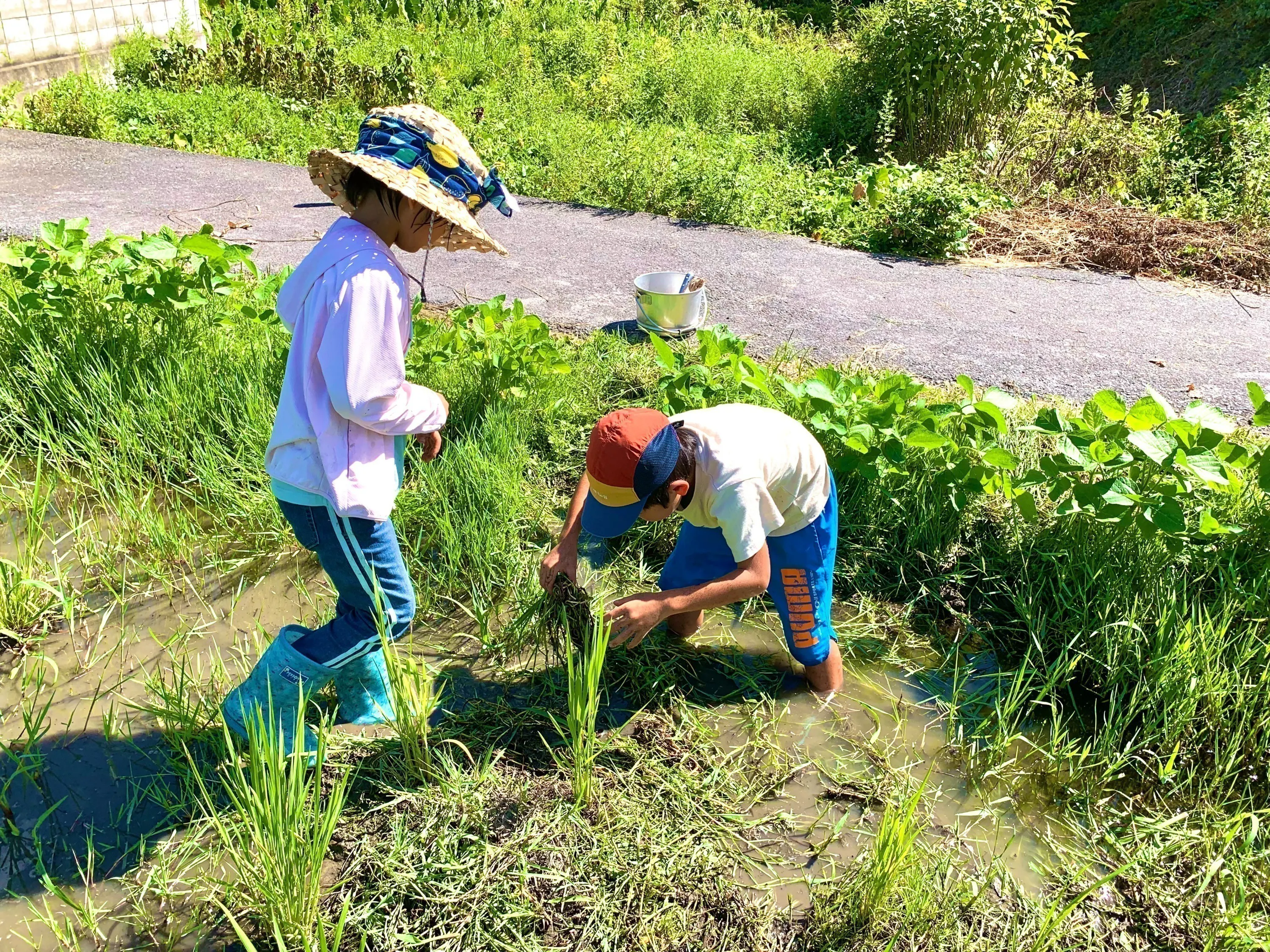 4番目のメイン画像