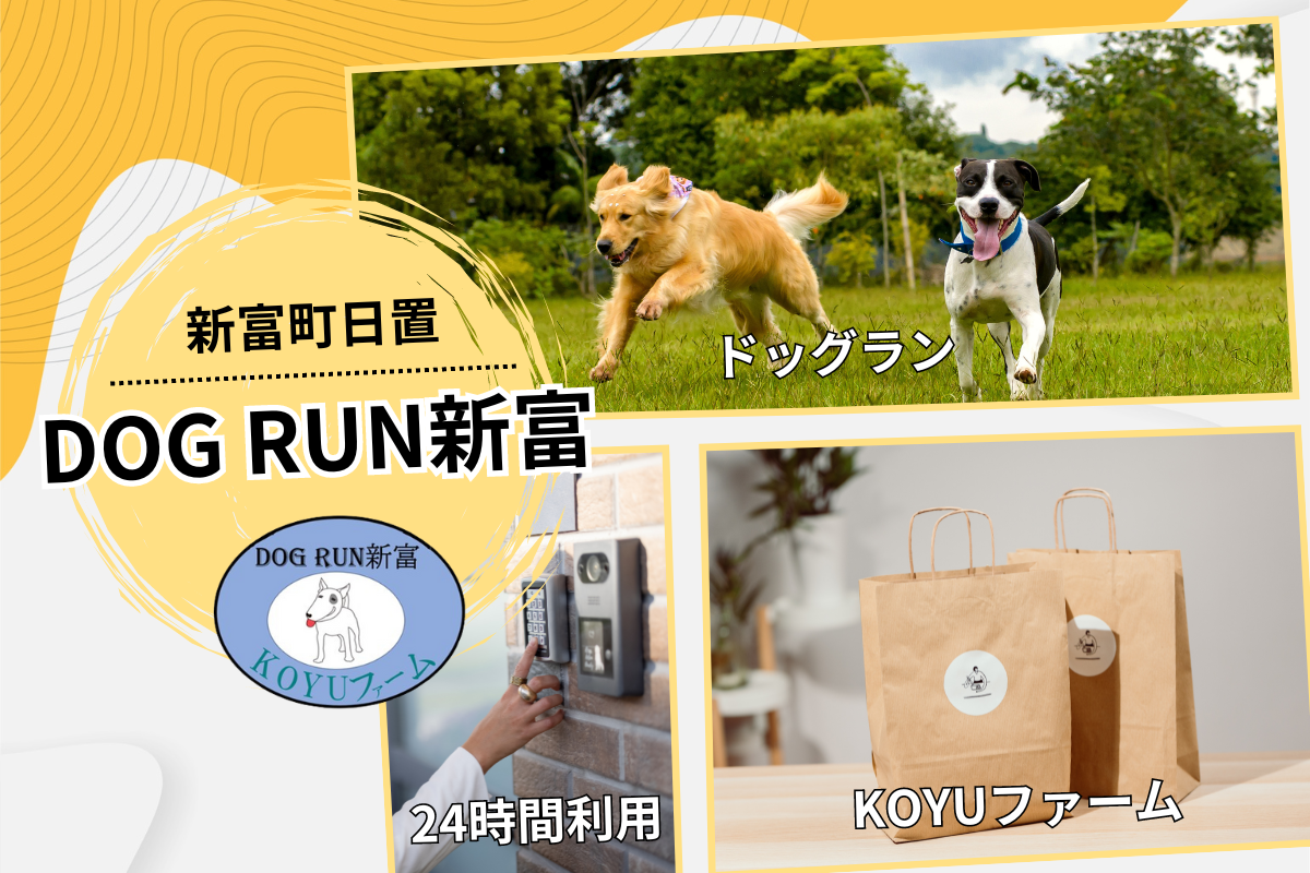 24時間解放！“手軽＆手ぶら”で楽しめる月額制ドッグラン！DOG RUN新富